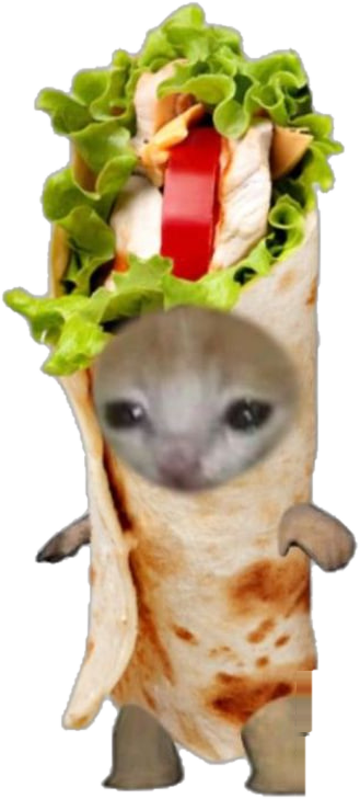 CATBAB — a sad cat wrapped in a kebab